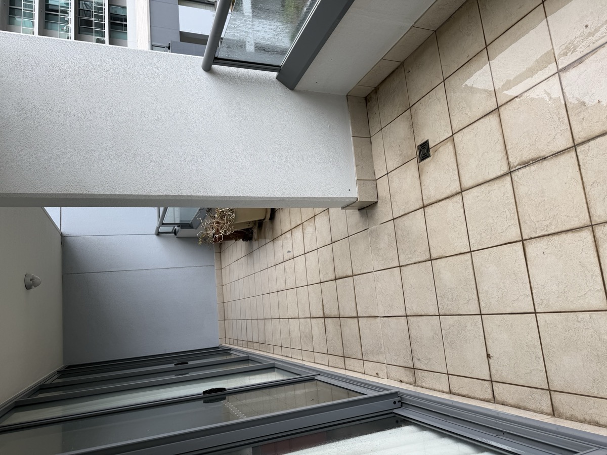 Before balcony clean