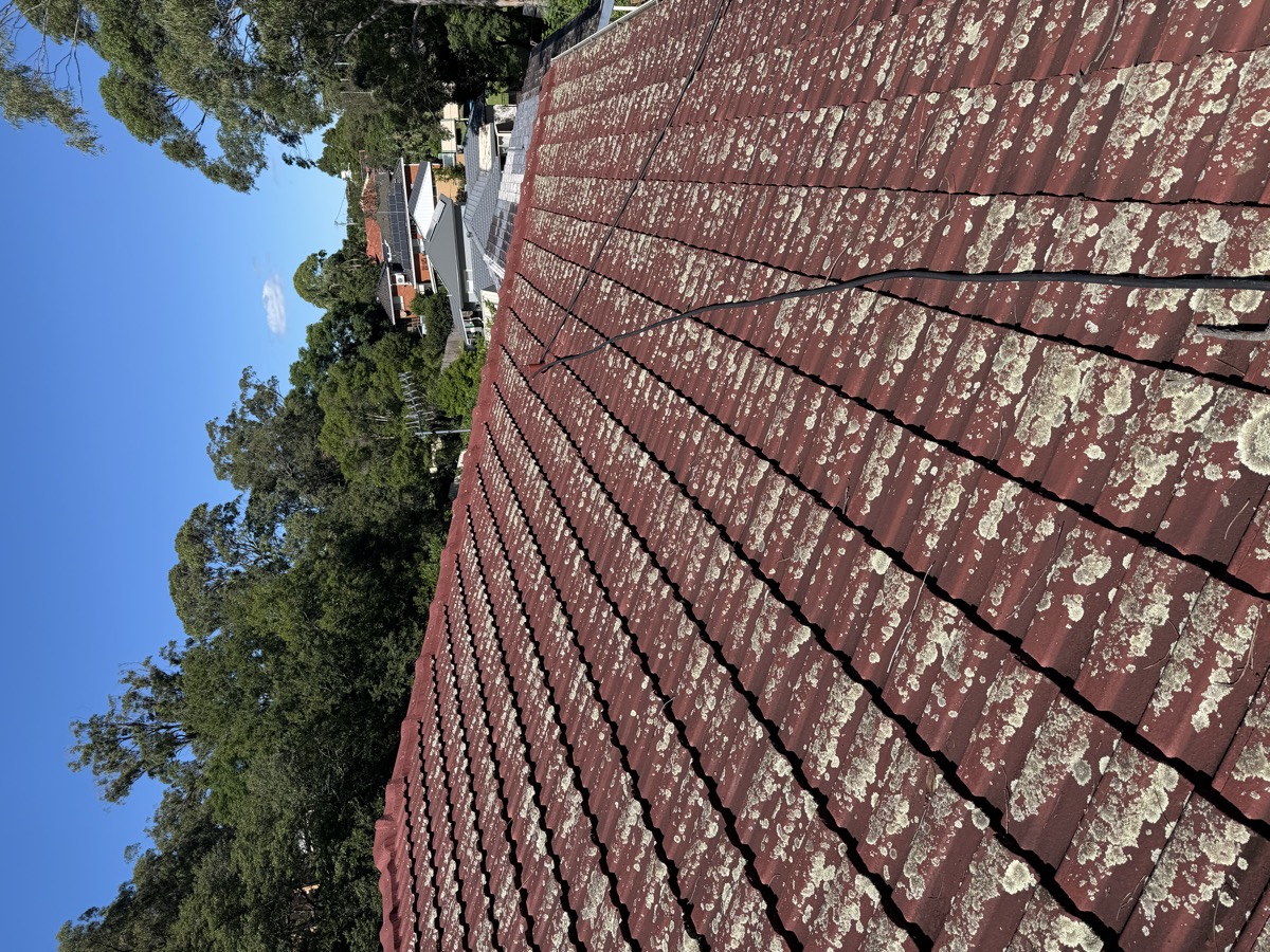 Before roof clean